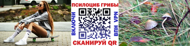 Галлюциногенные грибы Psilocybine cubensis  где можно купить   Городец 